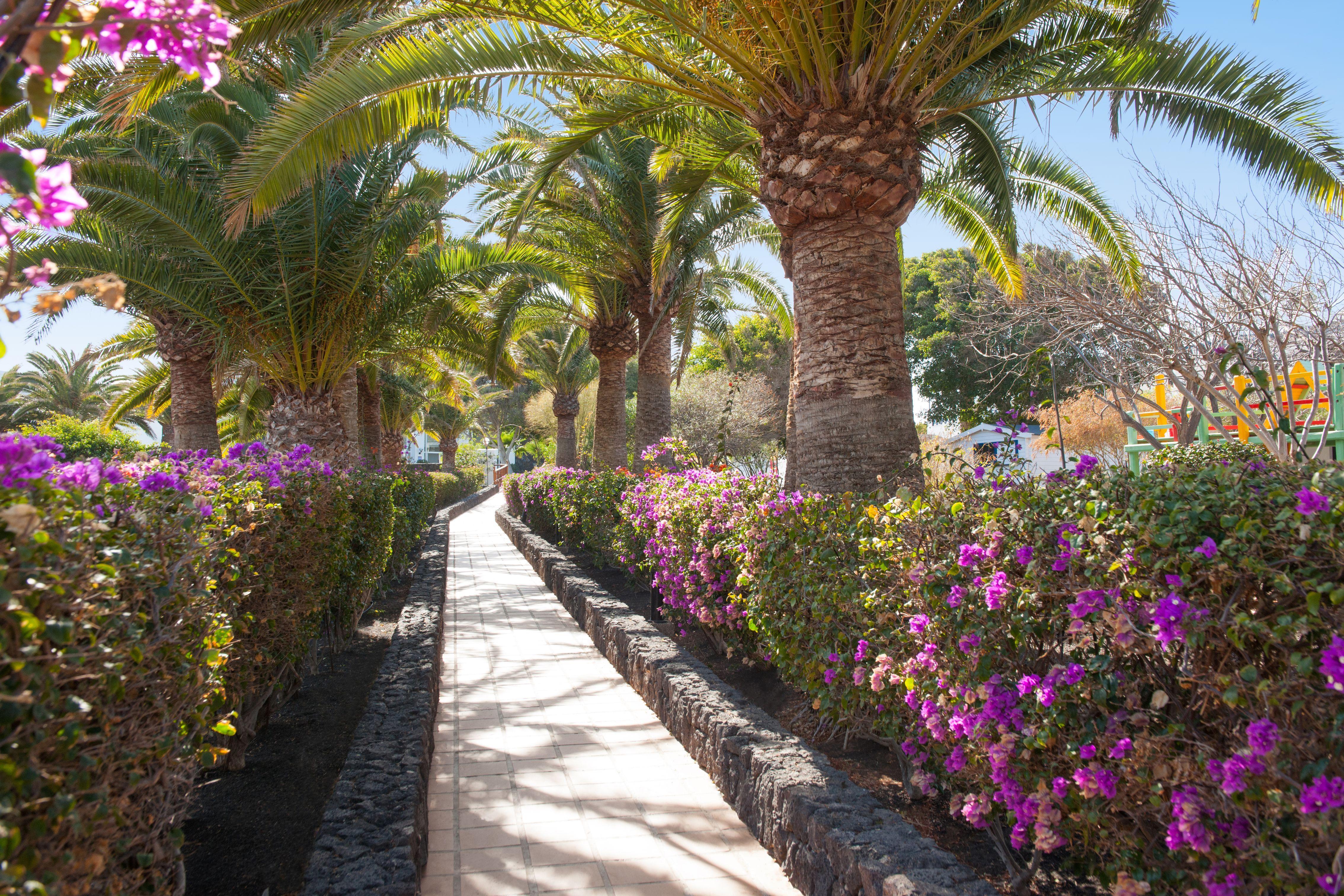 Relaxia Olivina Hotel Puerto del Carmen  Eksteriør billede